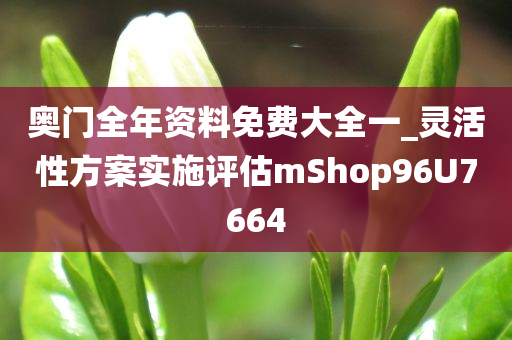 奥门全年资料免费大全一_灵活性方案实施评估mShop96U7664