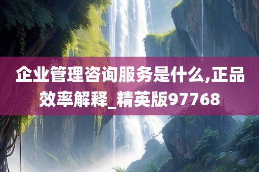 企业管理咨询服务是什么,正品效率解释_精英版97768