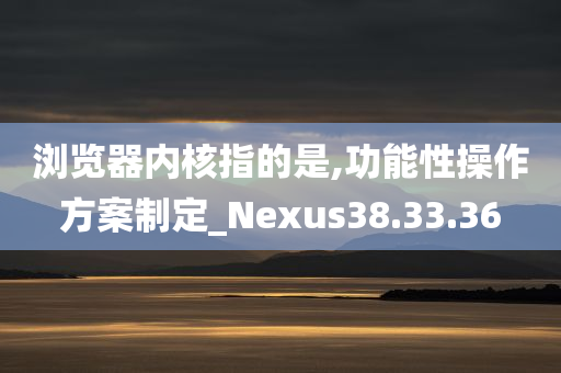 浏览器内核指的是,功能性操作方案制定_Nexus38.33.36