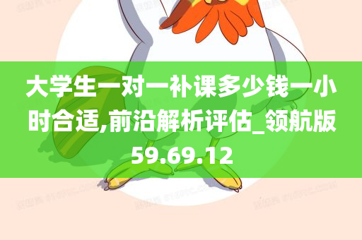 大学生一对一补课多少钱一小时合适,前沿解析评估_领航版59.69.12