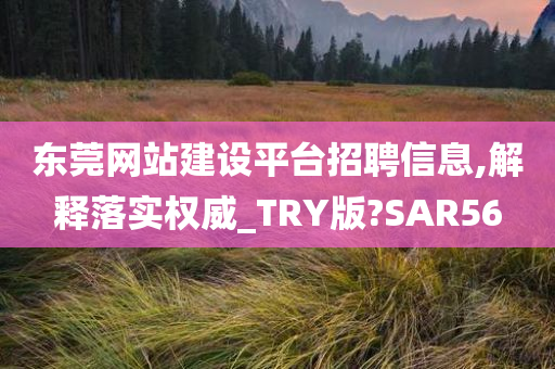 东莞网站建设平台招聘信息,解释落实权威_TRY版?SAR56