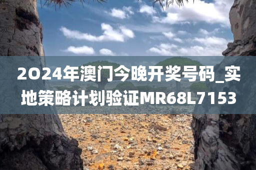 2O24年澳门今晚开奖号码_实地策略计划验证MR68L7153