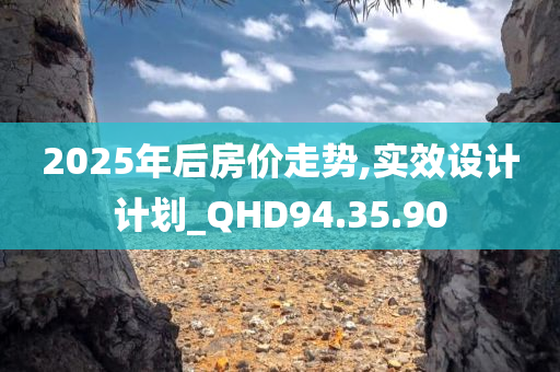 2025年后房价走势,实效设计计划_QHD94.35.90