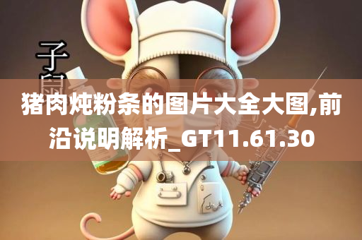 猪肉炖粉条的图片大全大图,前沿说明解析_GT11.61.30