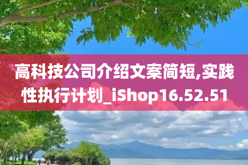 高科技公司介绍文案简短,实践性执行计划_iShop16.52.51