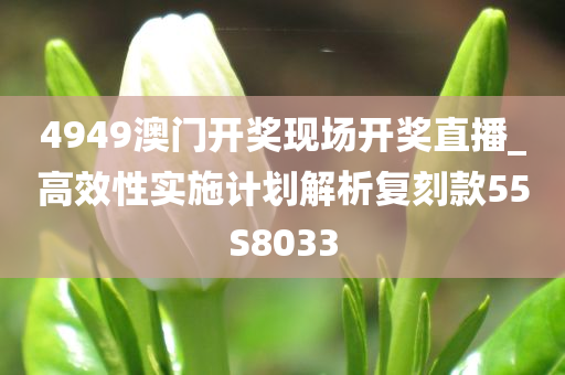 4949澳门开奖现场开奖直播_高效性实施计划解析复刻款55S8033