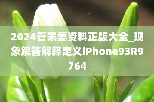 2024管家婆资料正版大全_现象解答解释定义iPhone93R9764