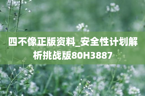 四不像正版资料_安全性计划解析挑战版80H3887