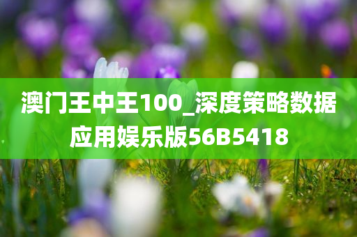 澳门王中王100_深度策略数据应用娱乐版56B5418