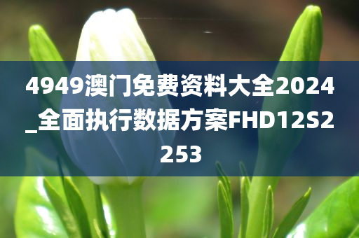 4949澳门免费资料大全2024_全面执行数据方案FHD12S2253