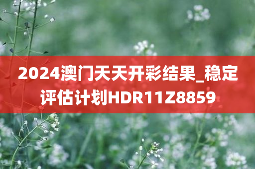 2024澳门天天开彩结果_稳定评估计划HDR11Z8859