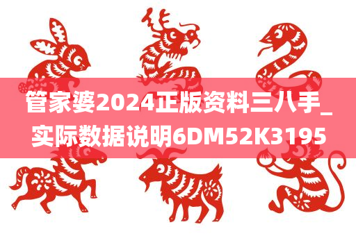 管家婆2024正版资料三八手_实际数据说明6DM52K3195