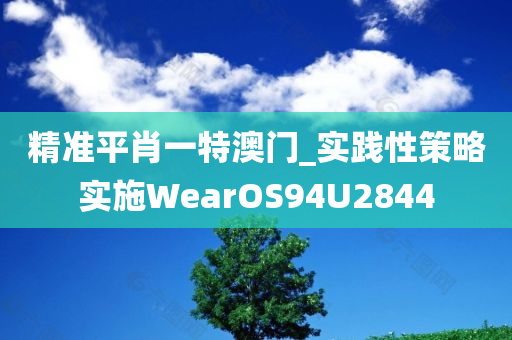 精准平肖一特澳门_实践性策略实施WearOS94U2844