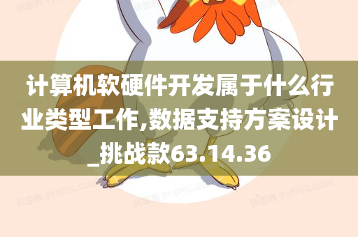 计算机软硬件开发属于什么行业类型工作,数据支持方案设计_挑战款63.14.36