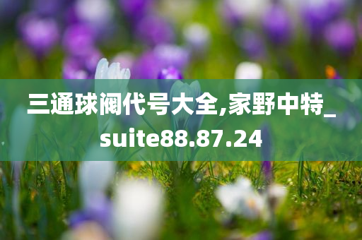 三通球阀代号大全,家野中特_suite88.87.24