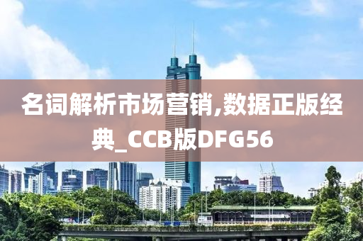 名词解析市场营销,数据正版经典_CCB版DFG56