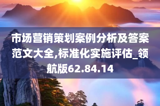 市场营销策划案例分析及答案范文大全,标准化实施评估_领航版62.84.14