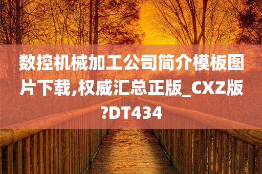 数控机械加工公司简介模板图片下载,权威汇总正版_CXZ版?DT434