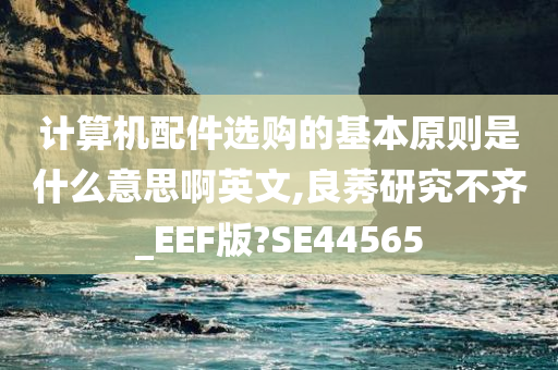 计算机配件选购的基本原则是什么意思啊英文,良莠研究不齐_EEF版?SE44565