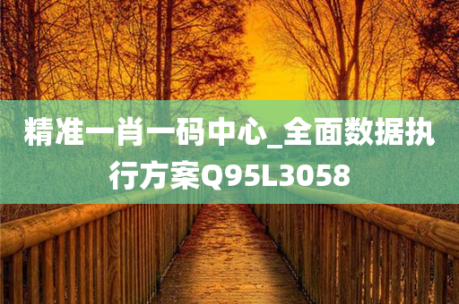 精准一肖一码中心_全面数据执行方案Q95L3058