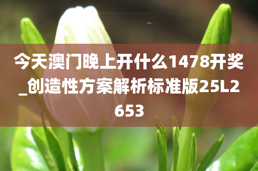 今天澳门晚上开什么1478开奖_创造性方案解析标准版25L2653