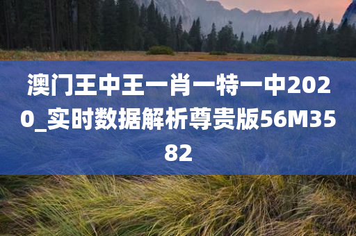 澳门王中王一肖一特一中2020_实时数据解析尊贵版56M3582