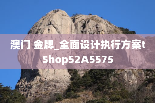 澳门 金牌_全面设计执行方案tShop52A5575