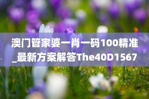 澳门管家婆一肖一码100精准_最新方案解答The40D1567