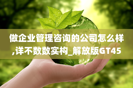 做企业管理咨询的公司怎么样,详不数数实构_解放版GT45