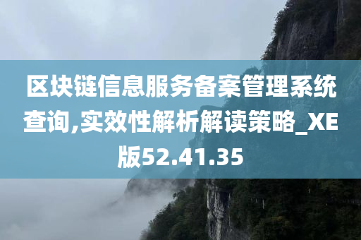 区块链信息服务备案管理系统查询,实效性解析解读策略_XE版52.41.35