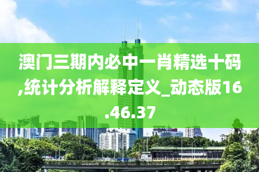 澳门三期内必中一肖精选十码,统计分析解释定义_动态版16.46.37