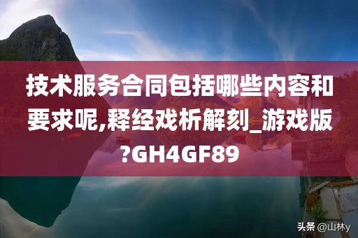 技术服务合同包括哪些内容和要求呢,释经戏析解刻_游戏版?GH4GF89