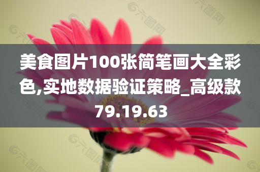 美食图片100张简笔画大全彩色,实地数据验证策略_高级款79.19.63