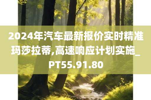 2024年汽车最新报价实时精准玛莎拉蒂,高速响应计划实施_PT55.91.80