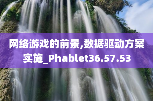 网络游戏的前景,数据驱动方案实施_Phablet36.57.53