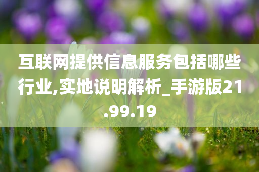 互联网提供信息服务包括哪些行业,实地说明解析_手游版21.99.19