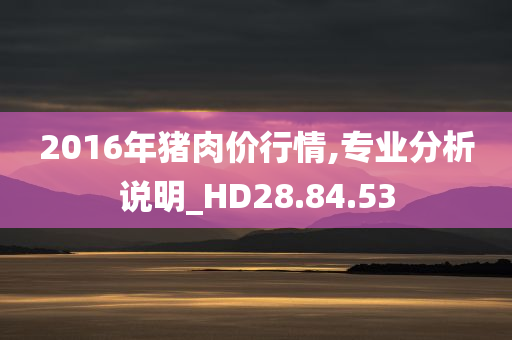 2016年猪肉价行情,专业分析说明_HD28.84.53