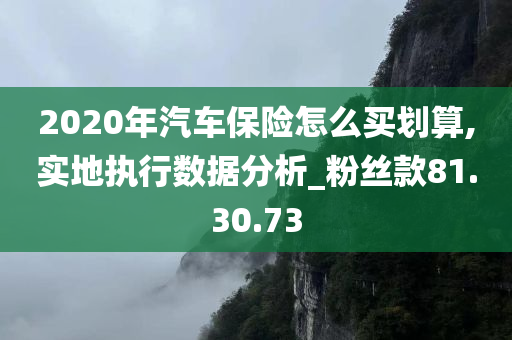 2020年汽车保险怎么买划算,实地执行数据分析_粉丝款81.30.73