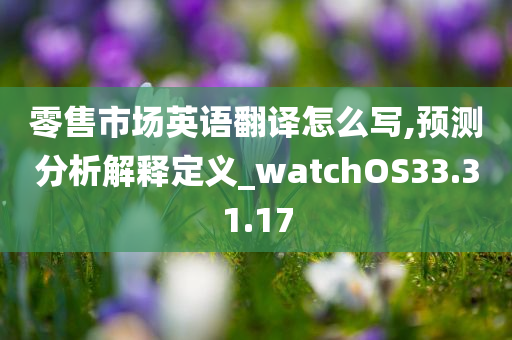 零售市场英语翻译怎么写,预测分析解释定义_watchOS33.31.17