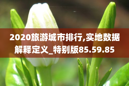 2020旅游城市排行,实地数据解释定义_特别版85.59.85