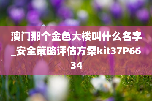 澳门那个金色大楼叫什么名字_安全策略评估方案kit37P6634