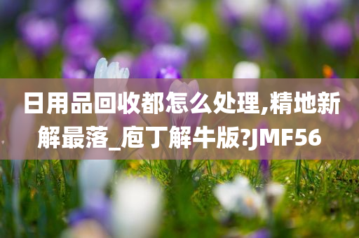 日用品回收都怎么处理,精地新解最落_庖丁解牛版?JMF56