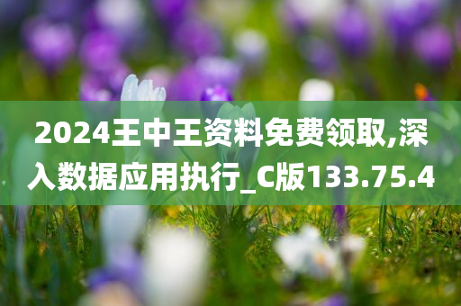 2024王中王资料免费领取,深入数据应用执行_C版133.75.40