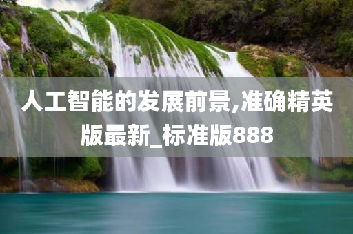 人工智能的发展前景,准确精英版最新_标准版888