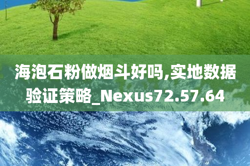 海泡石粉做烟斗好吗,实地数据验证策略_Nexus72.57.64