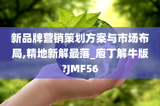 新品牌营销策划方案与市场布局,精地新解最落_庖丁解牛版?JMF56