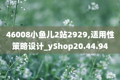 46008小鱼儿2站2929,适用性策略设计_yShop20.44.94