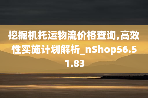 挖掘机托运物流价格查询,高效性实施计划解析_nShop56.51.83