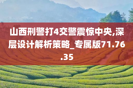 山西刑警打4交警震惊中央,深层设计解析策略_专属版71.76.35