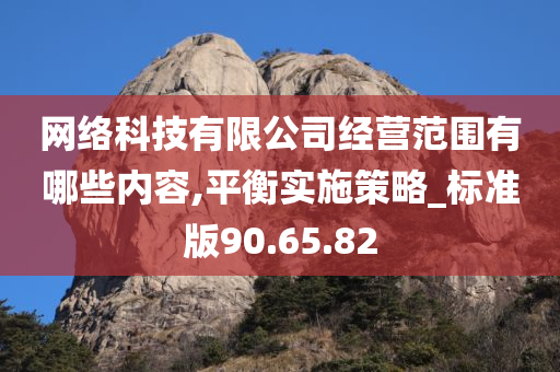 网络科技有限公司经营范围有哪些内容,平衡实施策略_标准版90.65.82